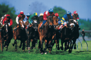 Several horses and jockeys engaged in a close horse race.